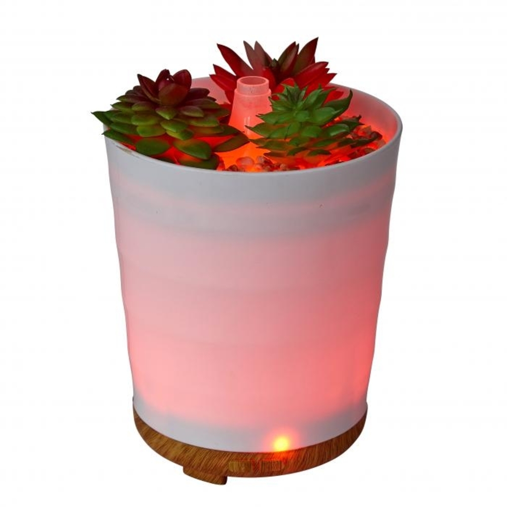 Succulent Planter Oil Diffuser with Colored Lights
